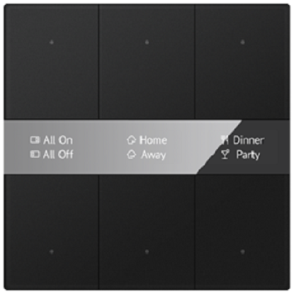 GVS - Push Button Sensor with Display ( CHPBD-06/55.1.01 (Black) )