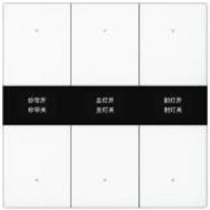 GVS - Push Button Sensor with Display ( CHPBD-06/55.1.00 (White) )