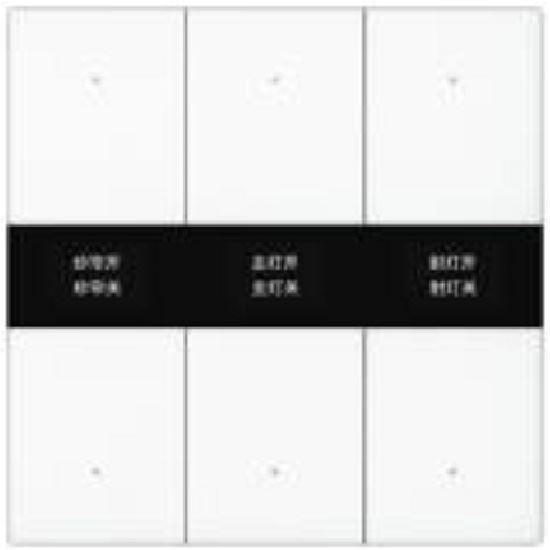 GVS - Push Button Sensor with Display ( CHPBD-06/55.1.00 (White) )