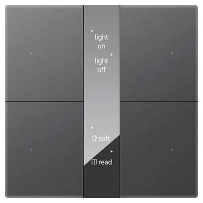 GVS - Push Button ( CHPBD-04/24.2.13 (Gray) ) ( Glass Button "Mirror Glass Display" )