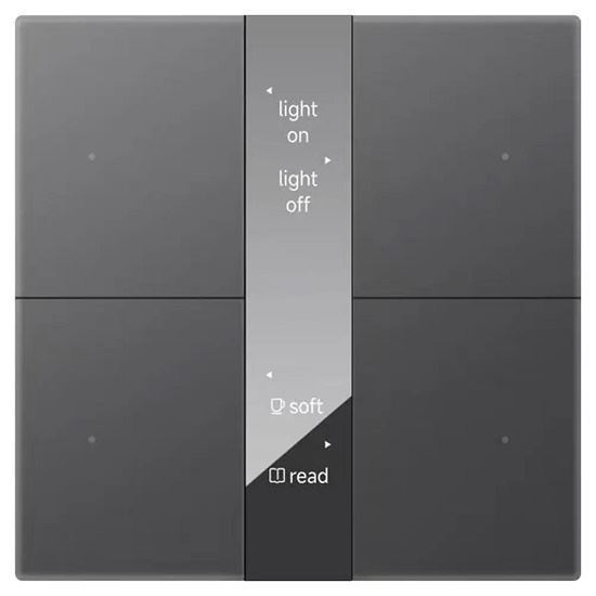 GVS - Push Button ( CHPBD-04/24.2.13 (Gray) ) ( Glass Button "Mirror Glass Display" )